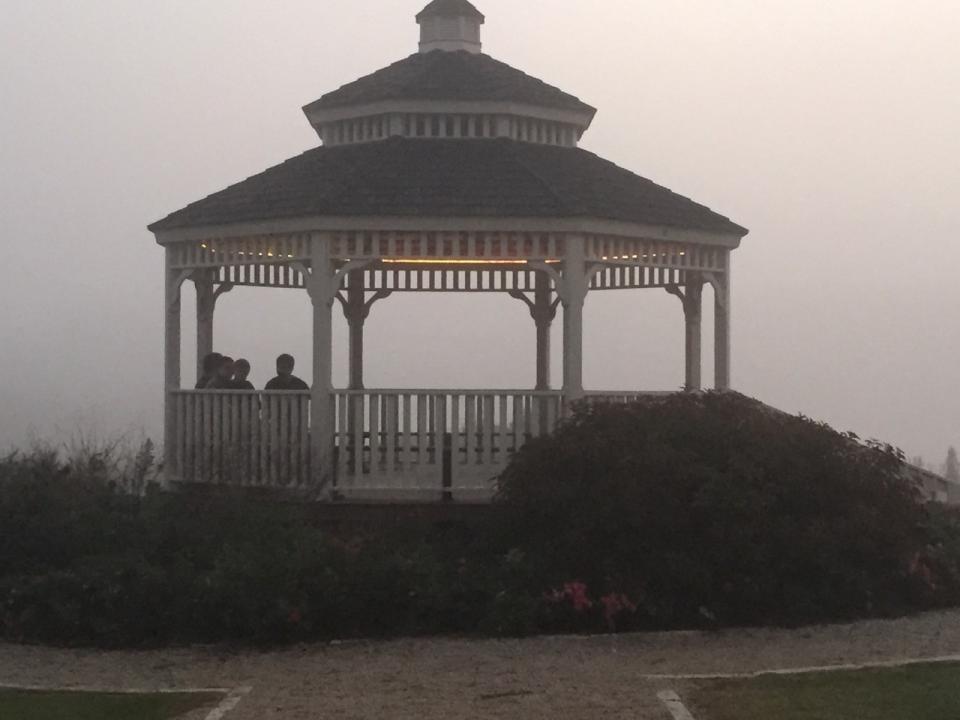 Cat Springs Gazebo